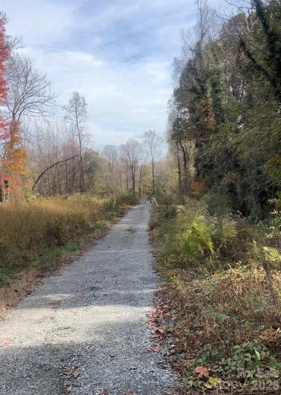 Wilson Heights - Land