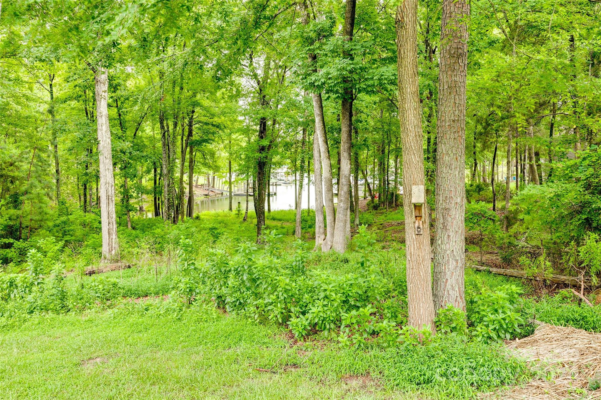 The Glades At Windswept Cove - Residential