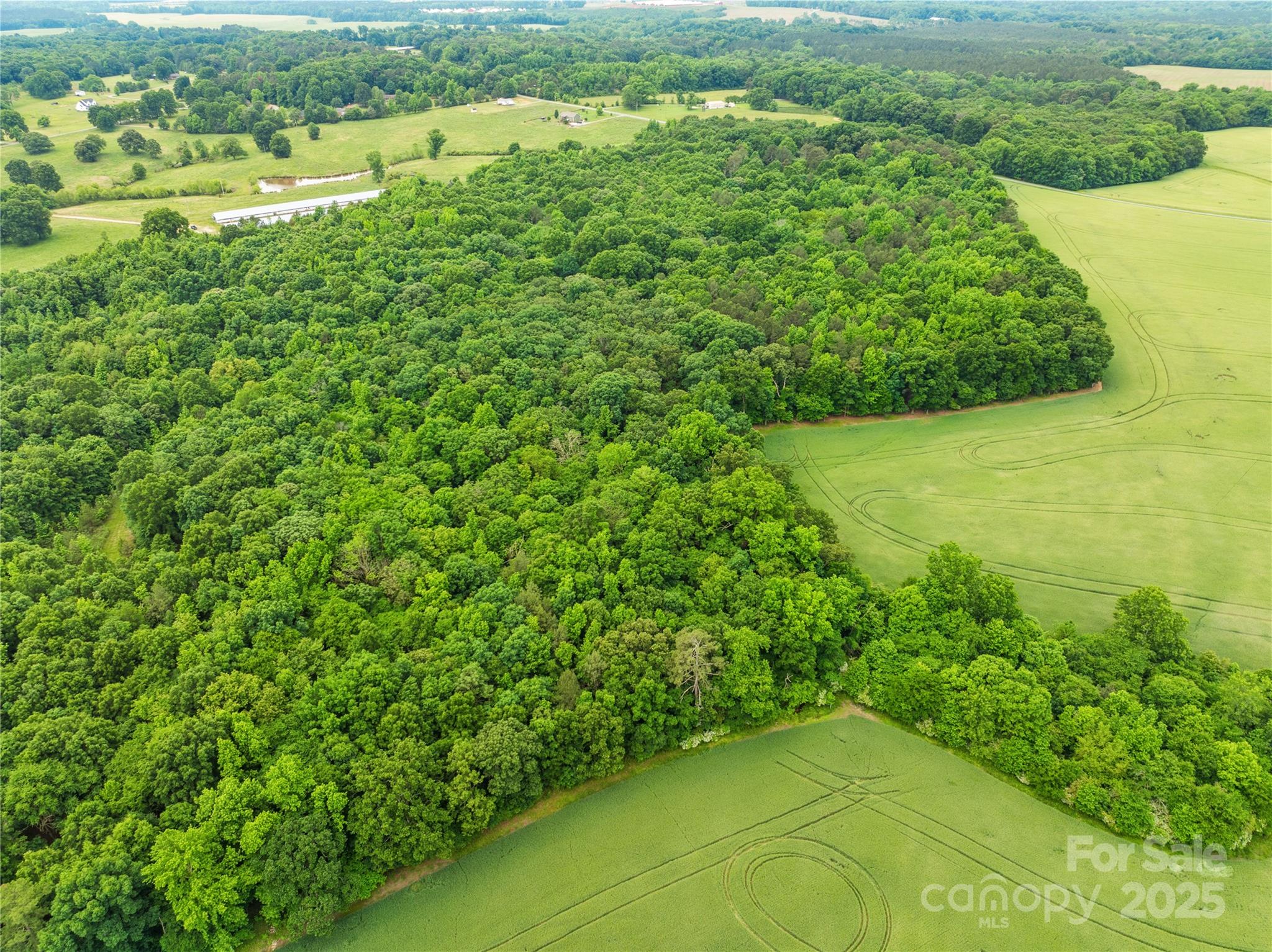 18AC WM Griffin Road