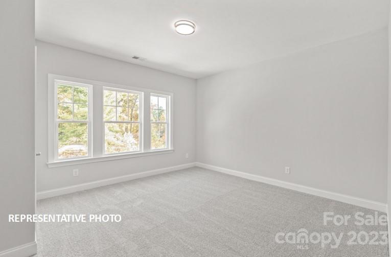 Washam Potts Townhomes - Residential
