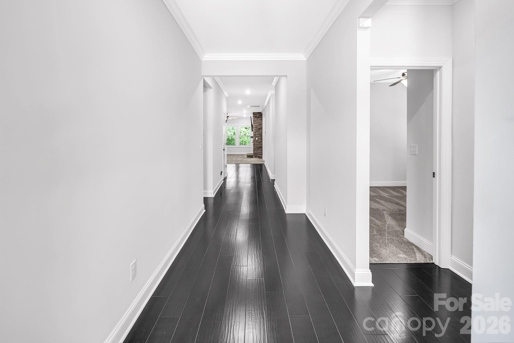 4097 Canopy Creek Drive