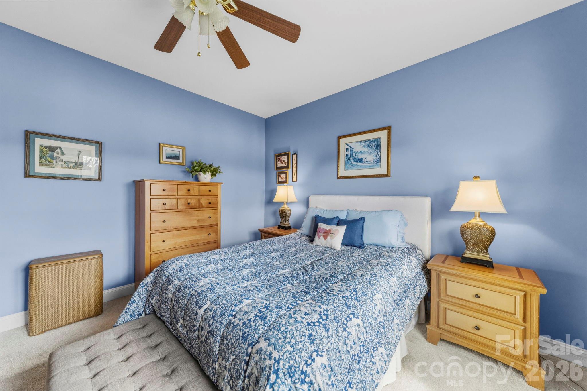 Village Lake - Residential