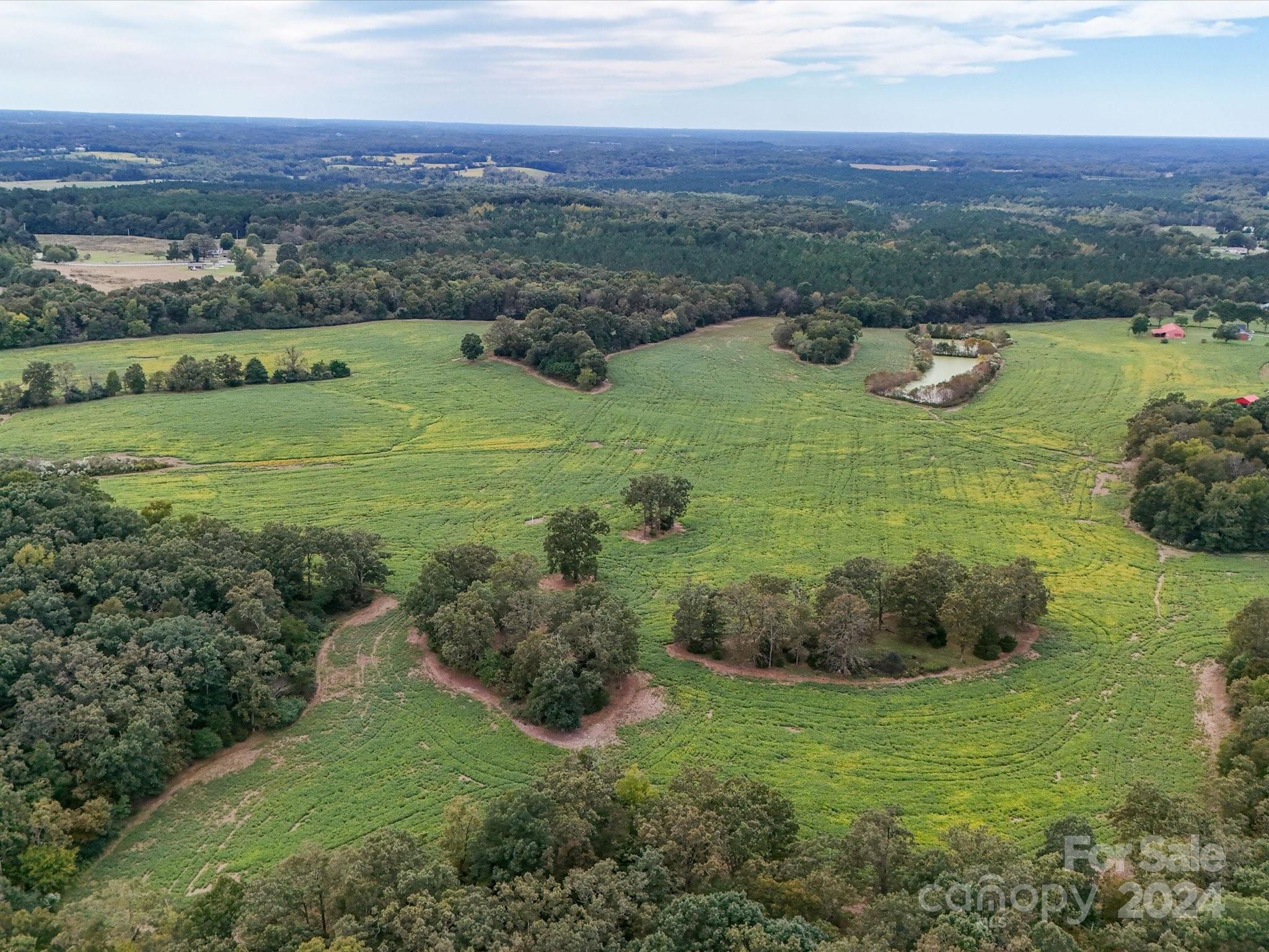 8510 Olive Branch Road