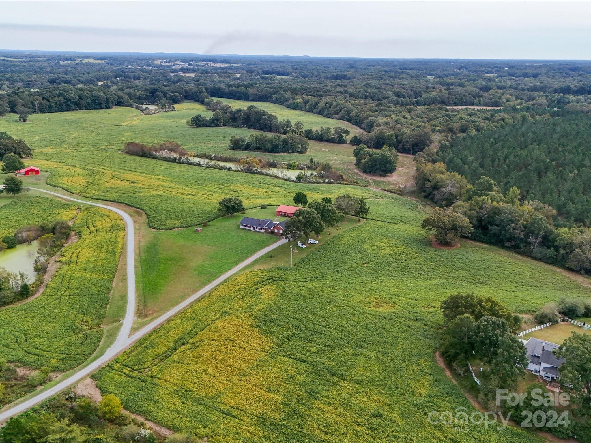 8510 Olive Branch Road