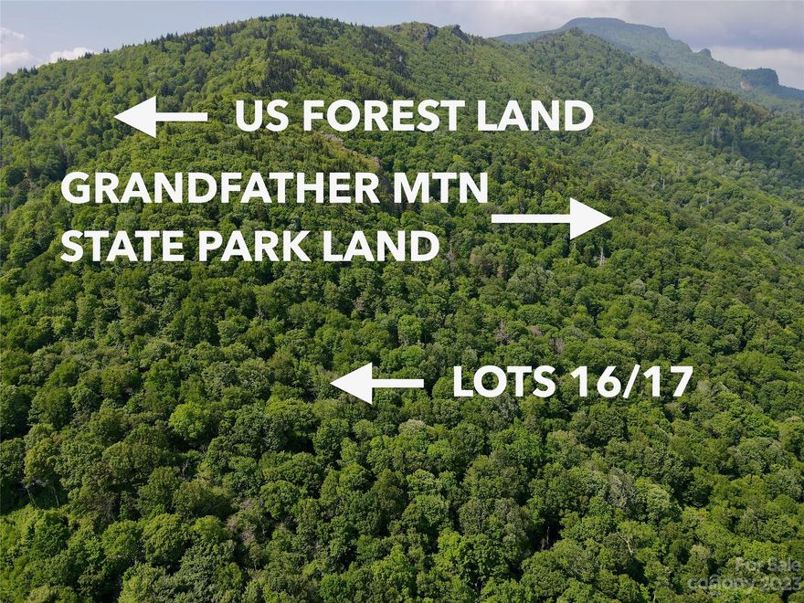 One-of-a-kind opportunity at the top of Spice Branch at Grandfather. This rare double lot has over 6.5 acres backing up to both Grandfather Mountain State Park and the Pisgah National Forest. Multiple areas for a home and the potential for panoramic long-range views including Blowing Rock to Seven Devils. If you love to hike this lot has trails and plenty of space. Elevations range from 4300' to over 4600' for cool summers. Multiple areas to build including flat/gentle sloping areas and a driveway area that is cut in. Natural boulder rocks and several springs grace the property. Truly a unique combination in the center of the High Country. Spice Branch at Grandfather is a gated community almost entirely surrounded by National Forest Land and Grandfather Mountain State Park. Great proximity to Boone/Blowing Rock and Banner Elk. Short-term rentals are allowed. The double lot could afford multiple building sites. Discover Spice Branch today!