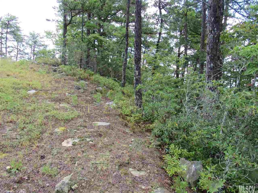 Blue Ridge Mountain Club - Land