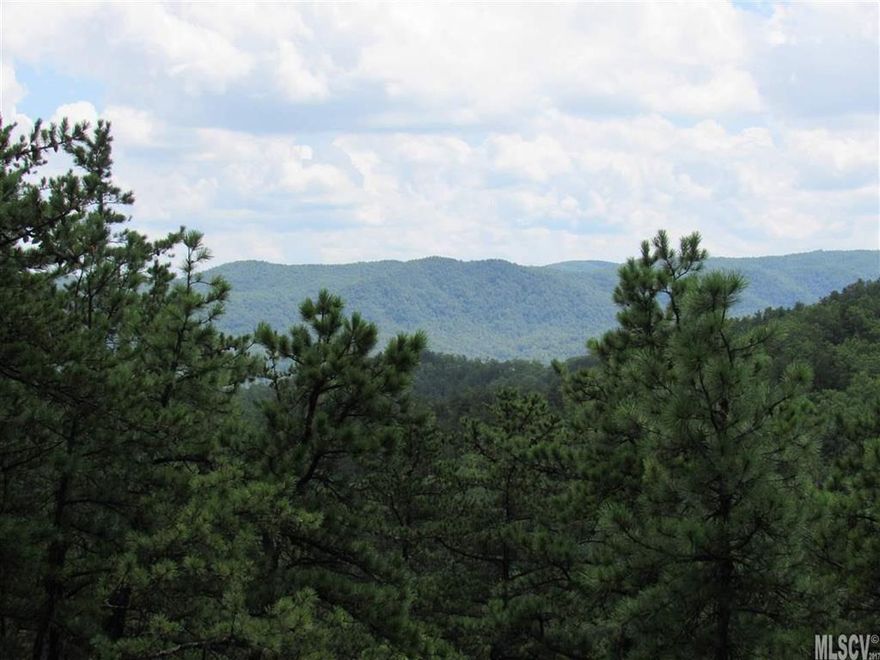 2.3 Acre lot at end of street in Blue Ridge Mountain Club situated on a pinnacle ridge with panoramic mountain views. Blue Ridge Mountain Club is an outdoor lover's dream location. Live in a park near Blowing Rock and Blue Ridge Parkway. 50 mile mountain views and superior infrastructure (guard house entrance at gate, beautiful paved streets, underground utilities including water, central sewer, electric, and fiber optic data lines for HDTV/phone/broadband internet). Members' Pavilion features outdoor kitchen with rock fireplace, spacious patio living room, lawn and sports field. Interim clubhouse under construction to offer fitness and restaurant. 15 miles of multi-purpose trails - ATV, hiking, mountain biking, horseback riding and miles of primitive trails along the mountains and streams. 64 miles of streams and creeks. In Blue Ridge Mountain Club's 6200 acres you can build a lifetime of family adventures amidst the amazing beauty of the wilderness. National forest is near.