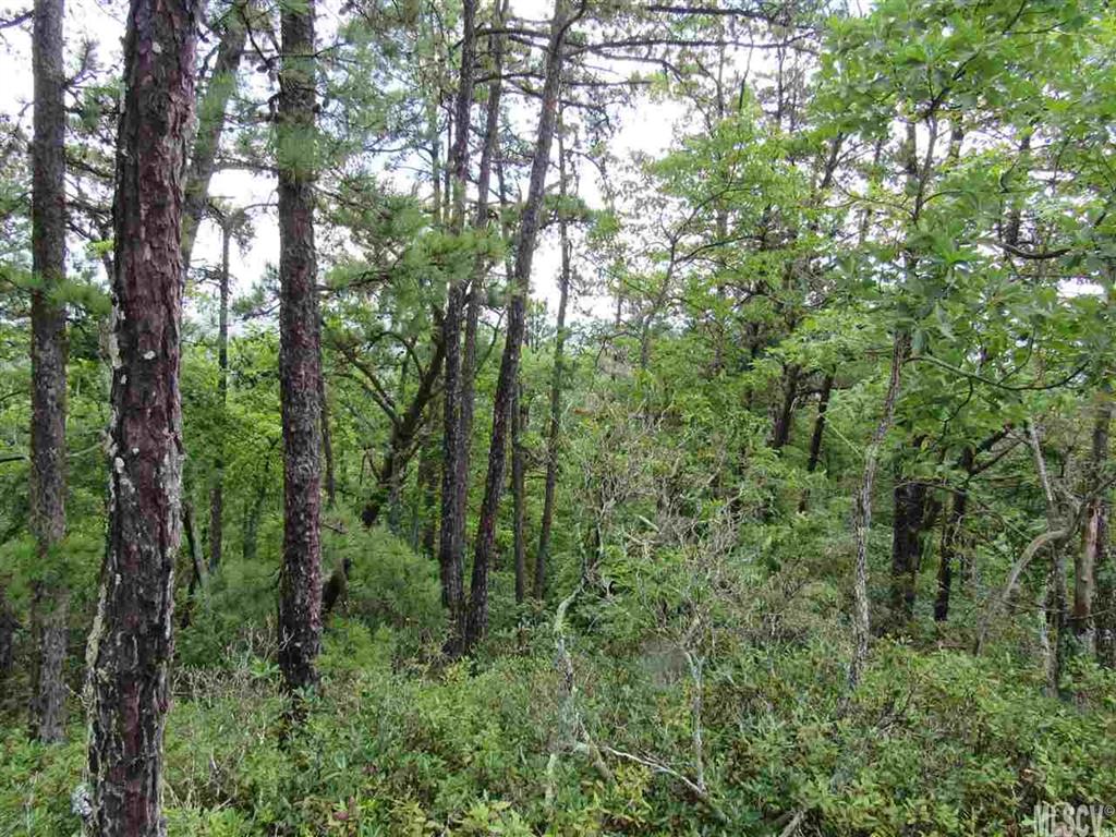 Blue Ridge Mountain Club - Land