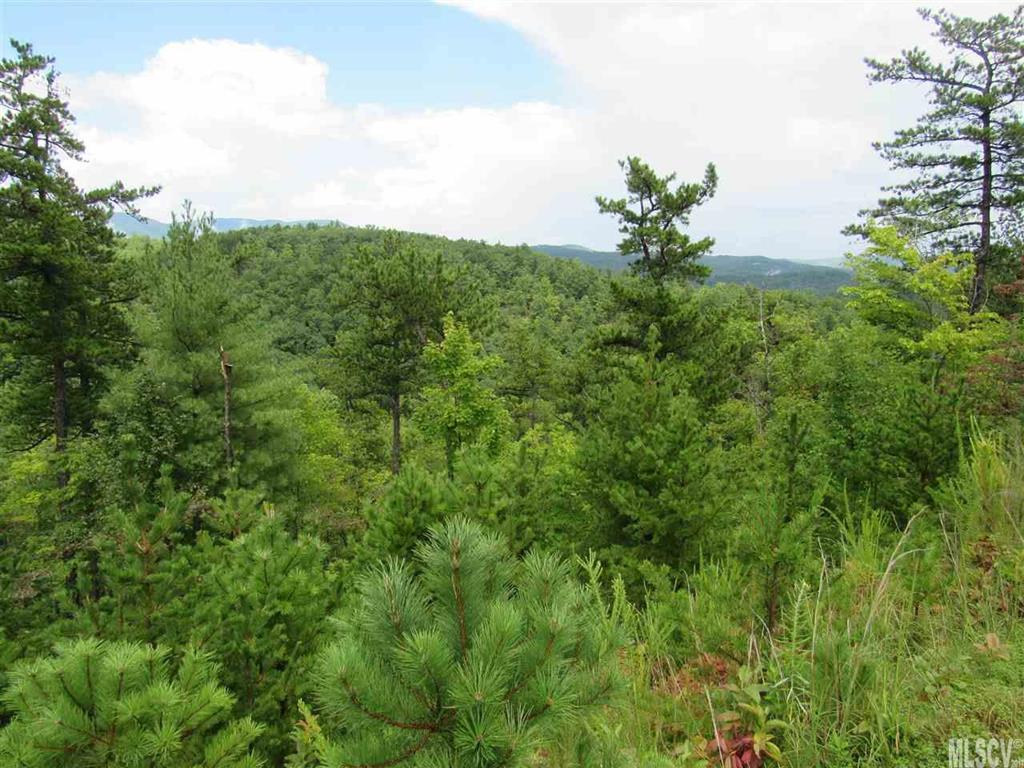 Blue Ridge Mountain Club - Land