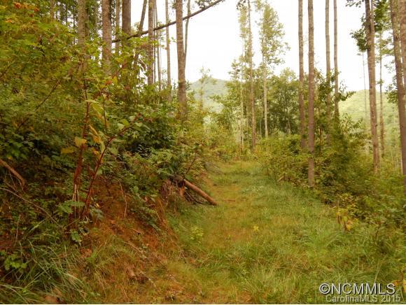 Lake Logan Cove - Land