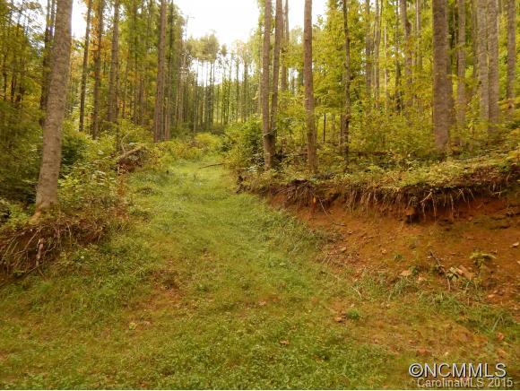 Lake Logan Cove - Land