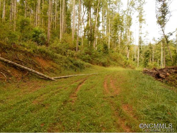 Lake Logan Cove - Land
