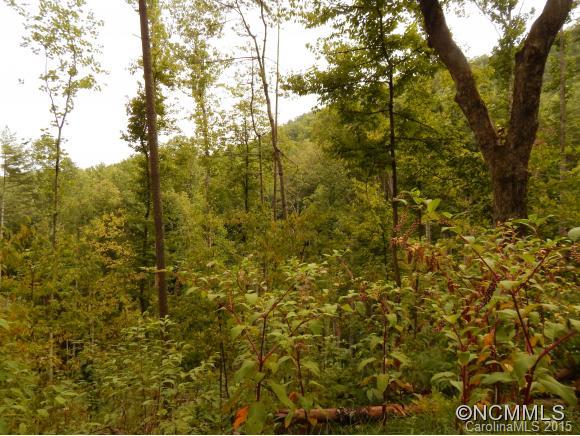 Lake Logan Cove - Land