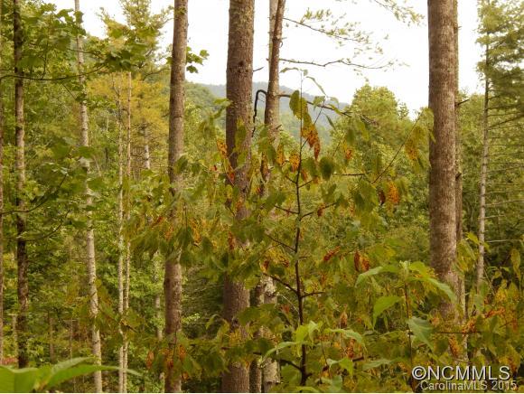 Lake Logan Cove - Land