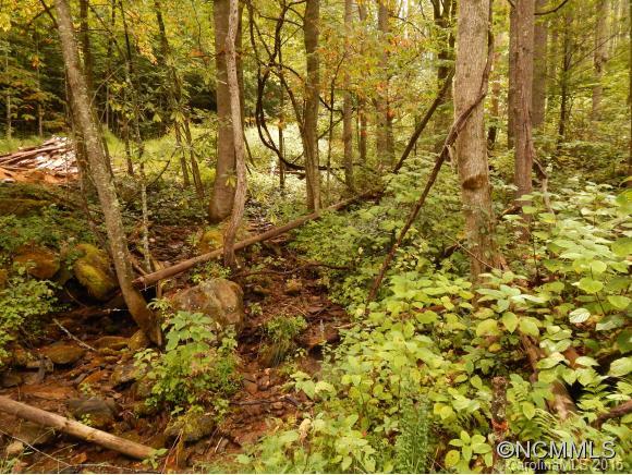 Lake Logan Cove - Land