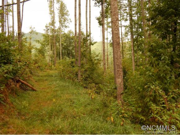 Lake Logan Cove - Land