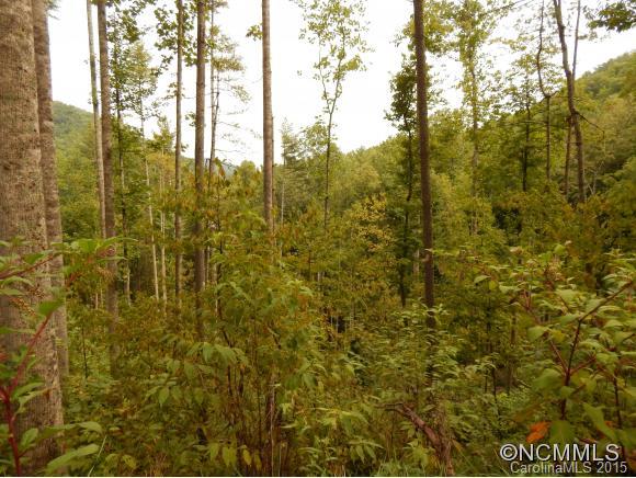 Lake Logan Cove - Land