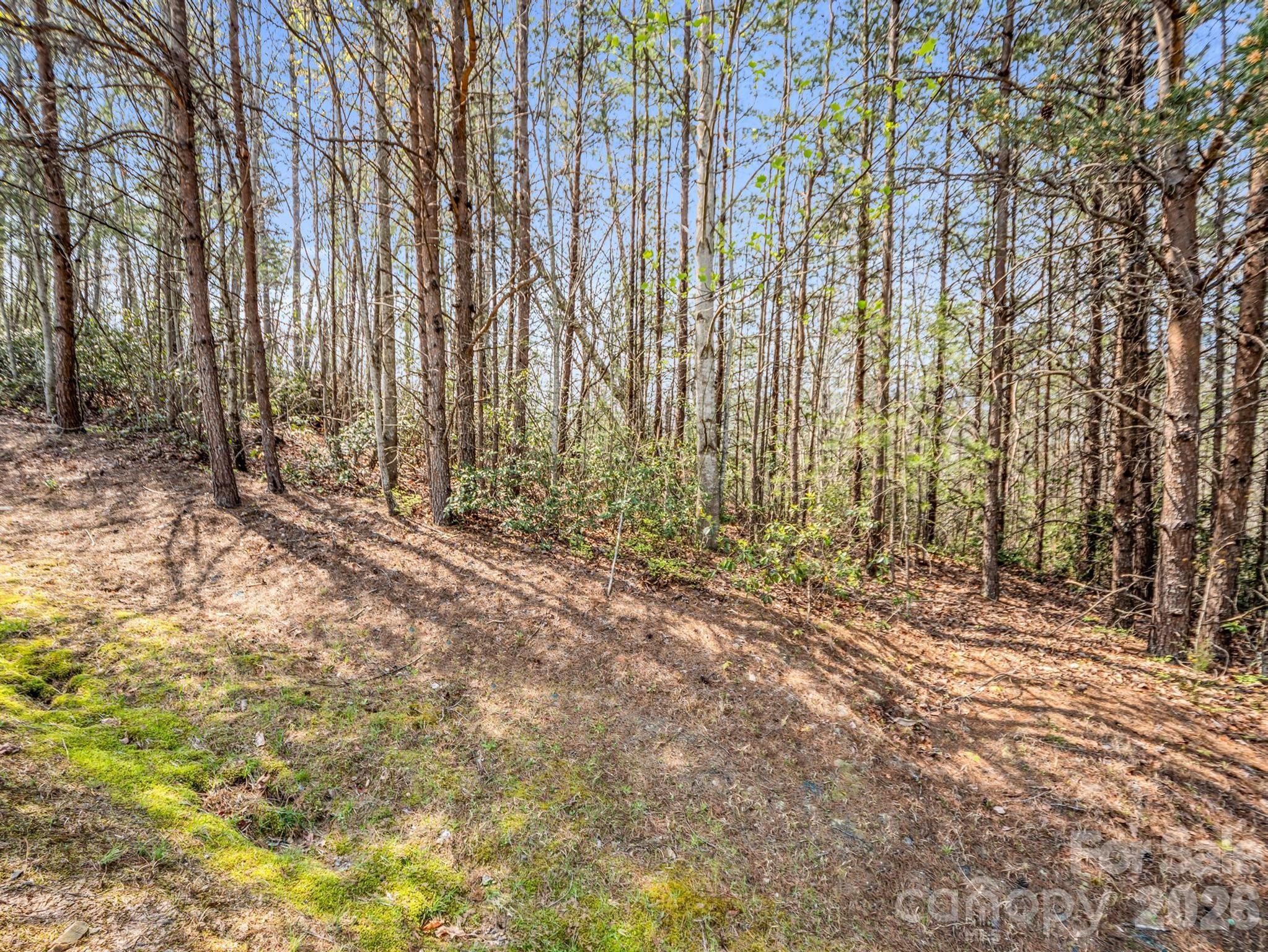 Brights Creek - Land