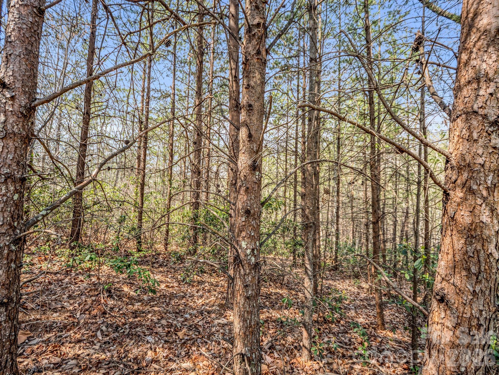 Brights Creek - Land