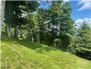 931 Upper Lookout Drive 931