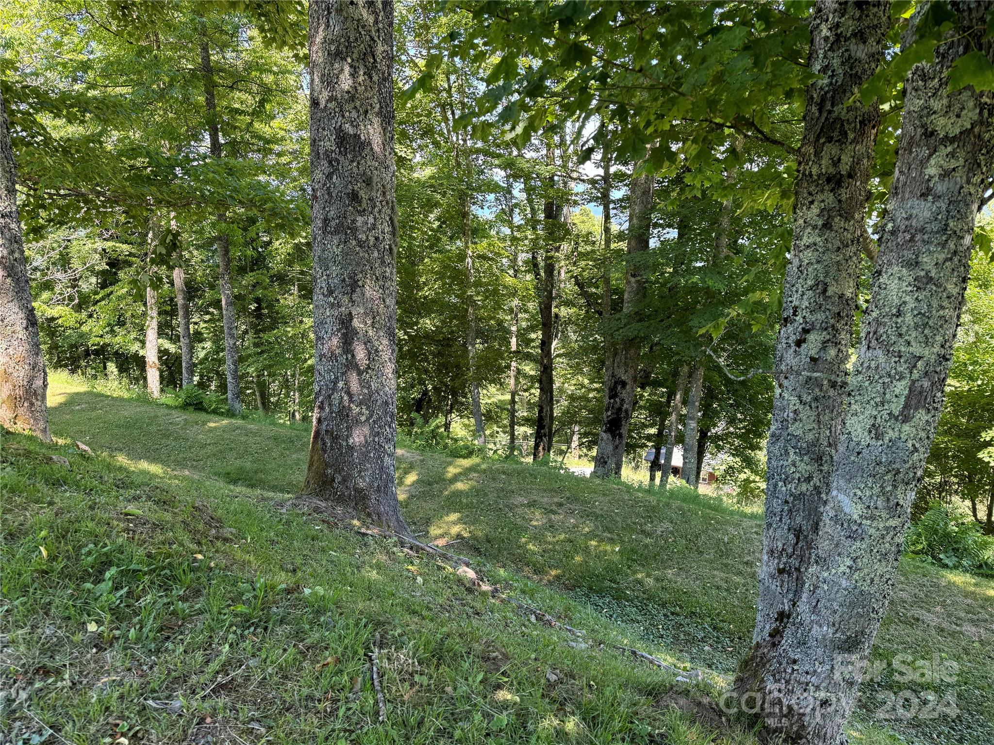 931 Upper Lookout Drive 931