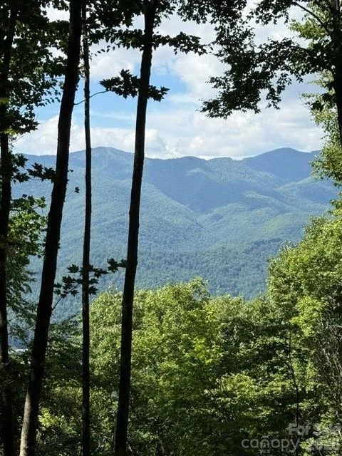 140 Boar Ridge Road, Sylva, NC, 28779