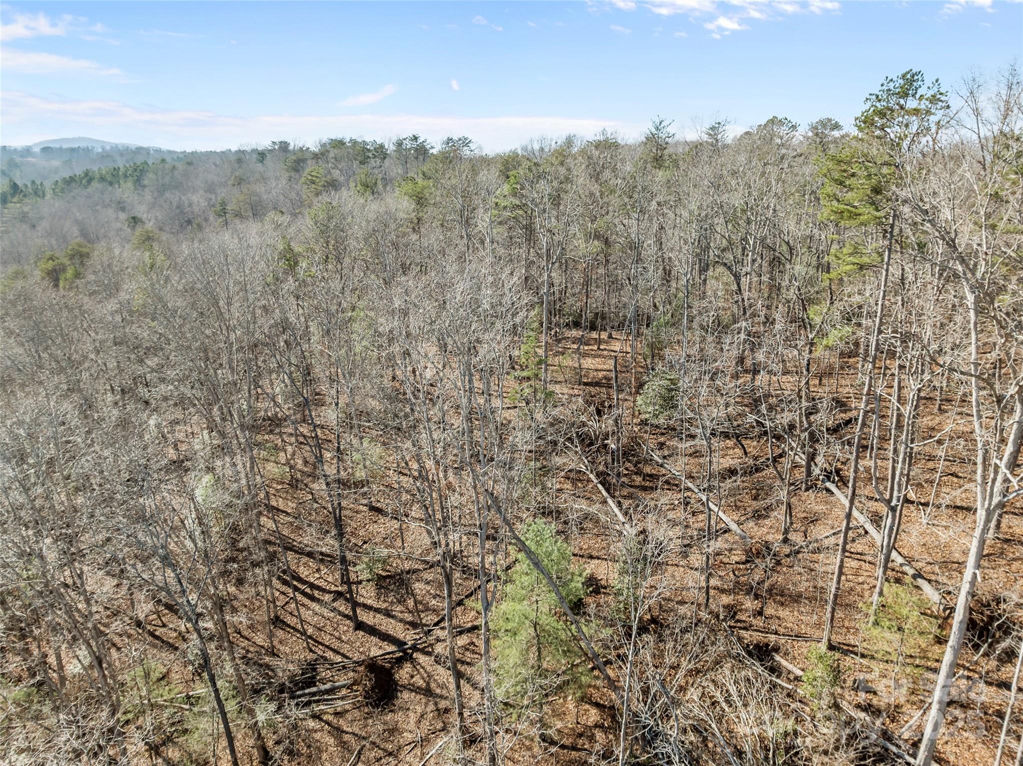 Blackberry Creek - Land