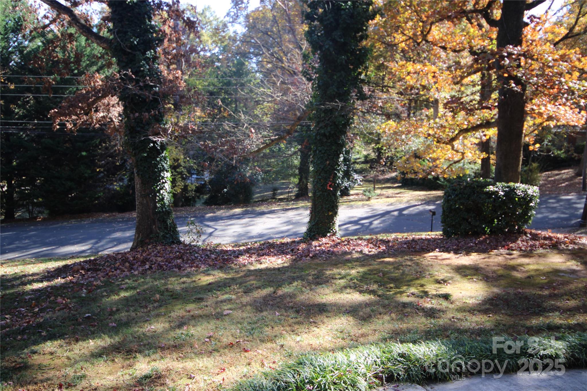 Woodberry Forest - Residential