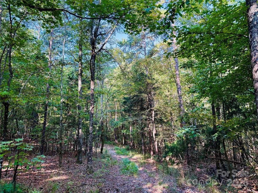 Tucked away in a private, wooded setting yet just minutes from downtown York, this 5.3-acre property offers both convenience and seclusion. The lot already features a driveway and has no HOA restrictions. Originally two separate parcels, it is now combined as a single lot but may be subdivided again if desired. Mobile homes are permitted. Septic permit in place.