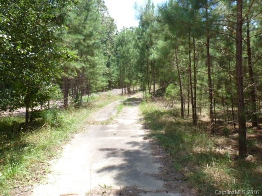 Two parcels, one 2 acre and one 11 acres, sold as 13 acres, can be divided, land has workshop and old camper neither of any value, also has long concrete driveway back into the property, which provides lots of privacy for the wonderful home you could build.