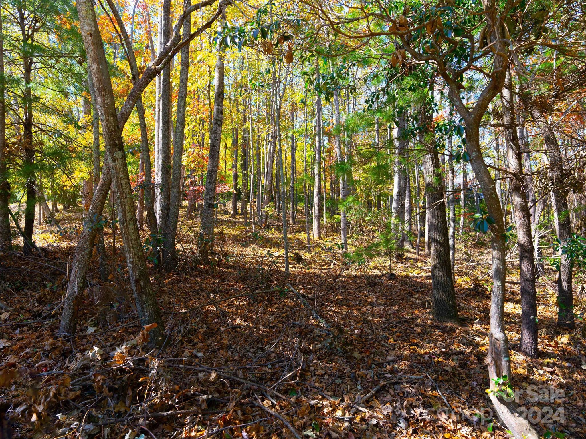 308 Piney Knoll Lane 189