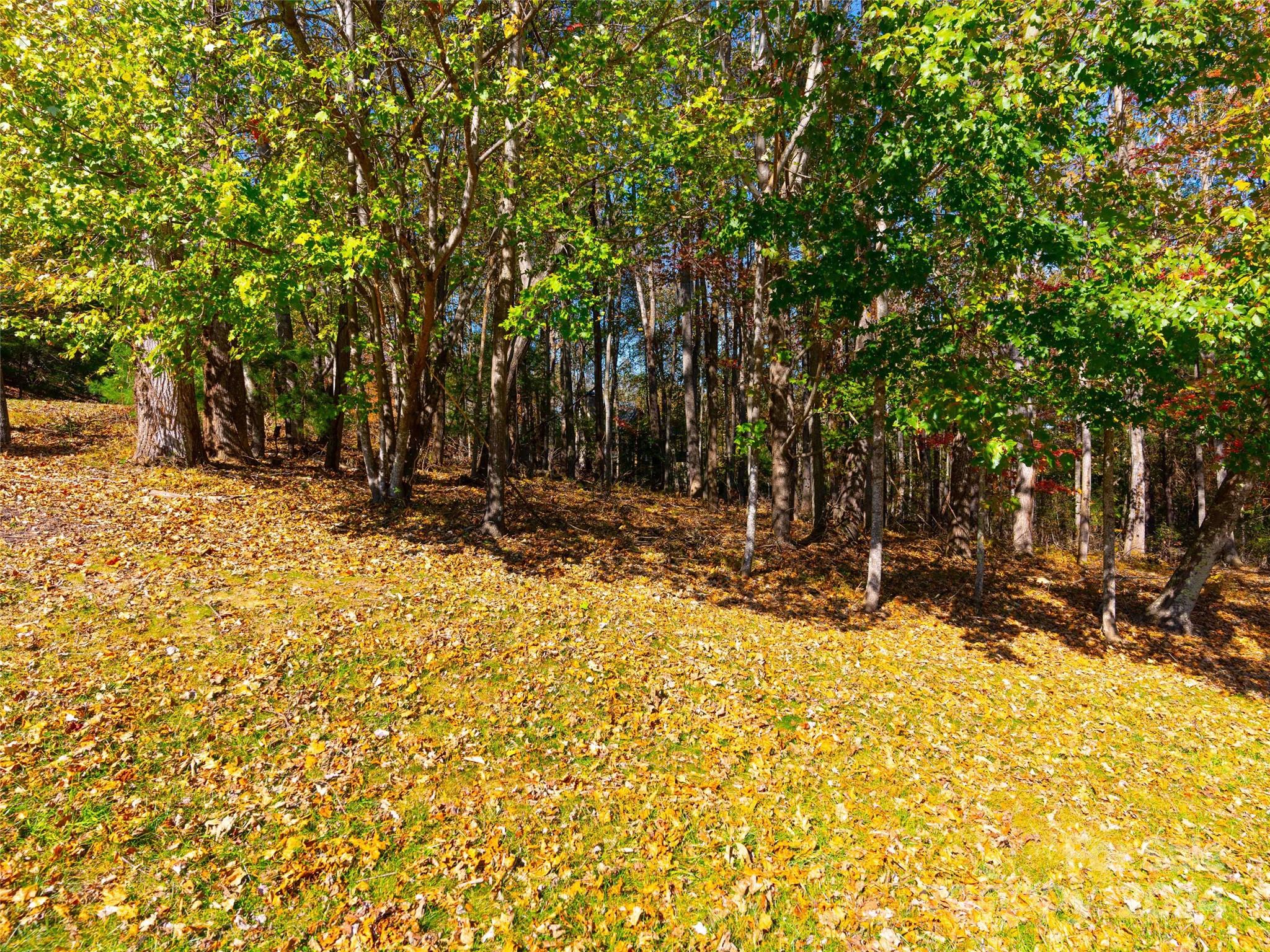 308 Piney Knoll Lane 189