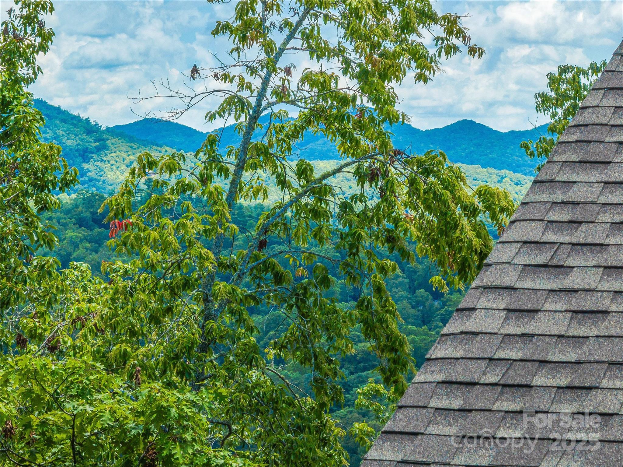 Black Mountain Estates - Residential