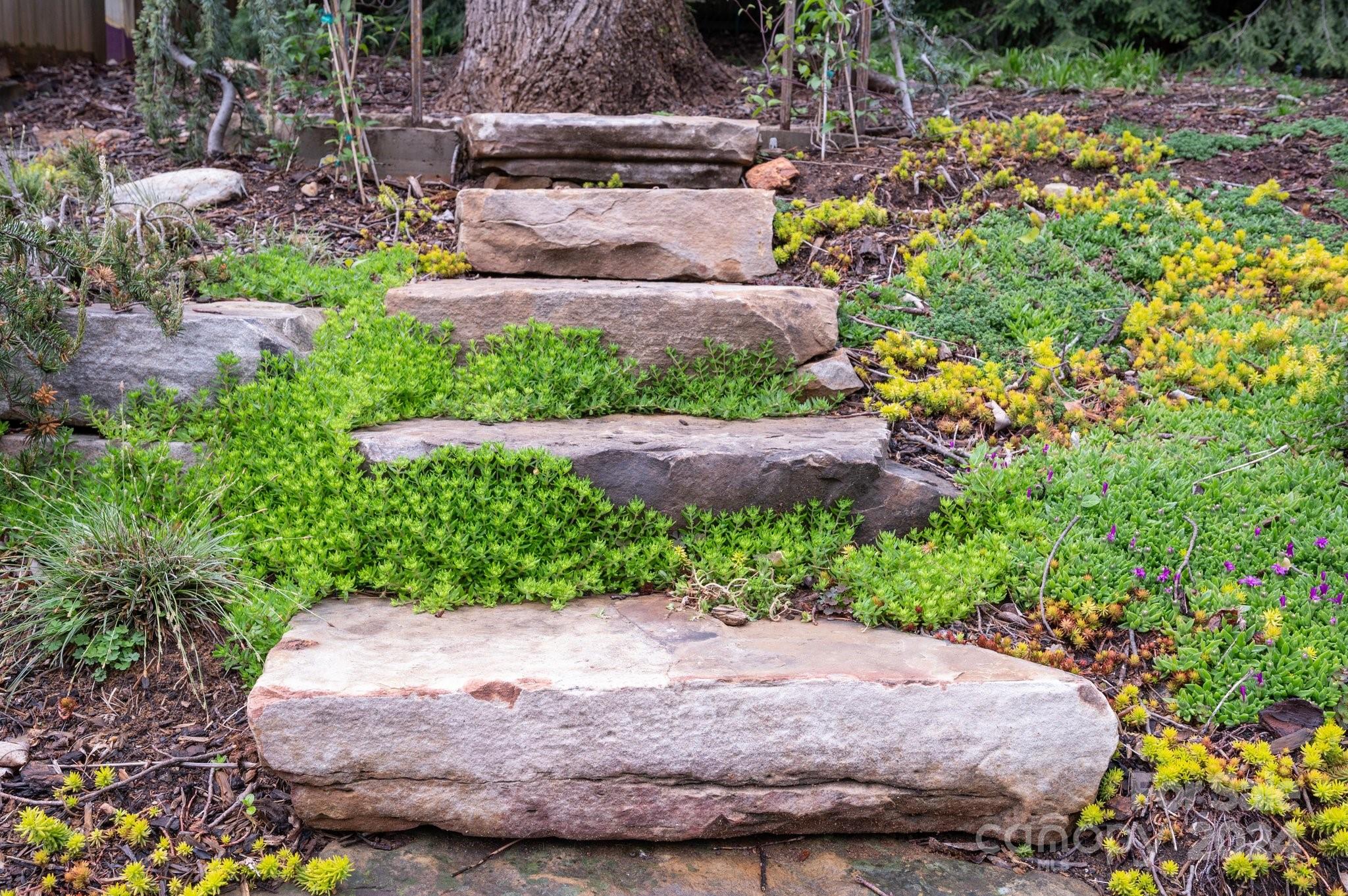 Grove Park - Residential