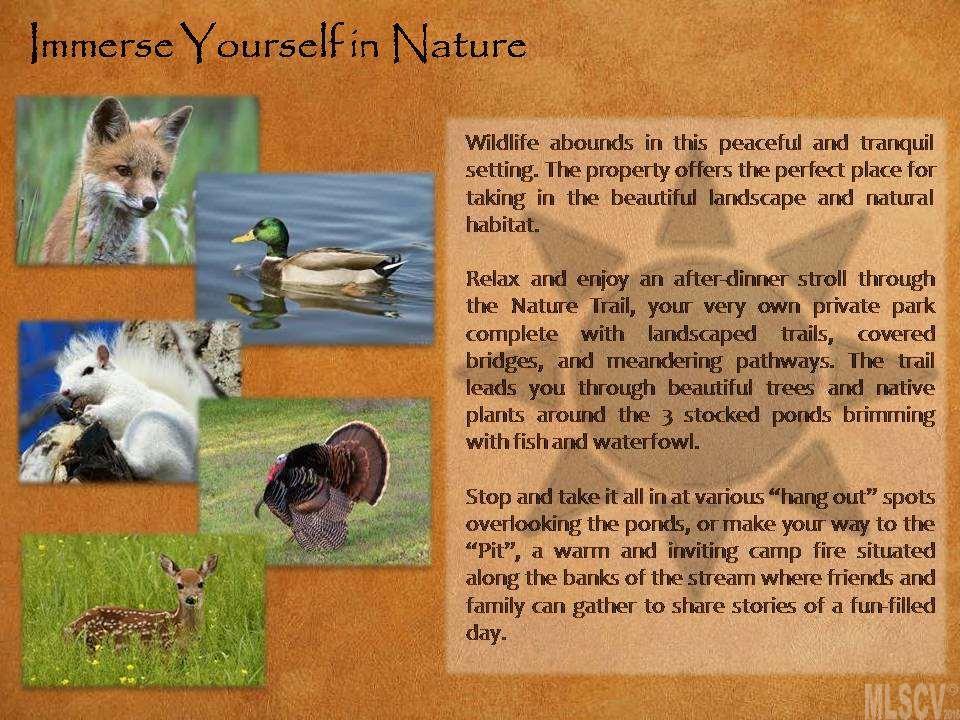 Awenasa Hills - Land