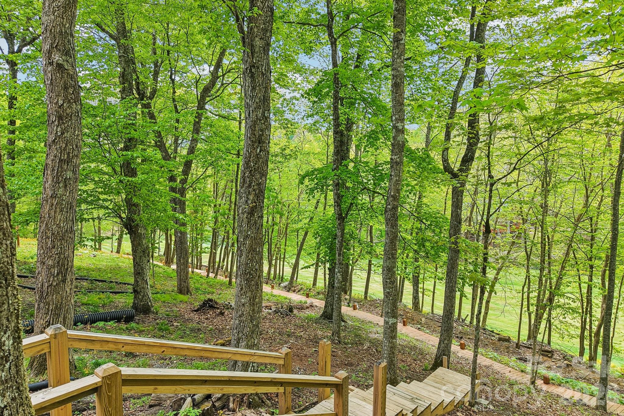Wolf Laurel - Residential