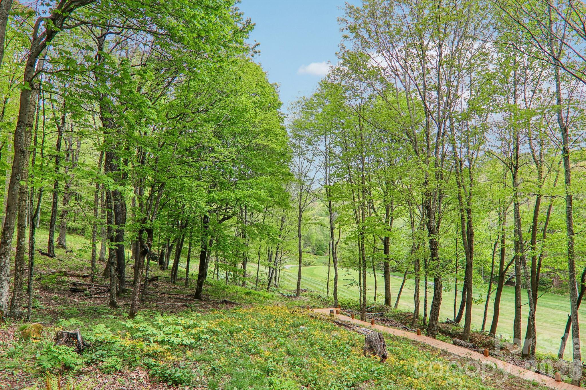 Wolf Laurel - Residential