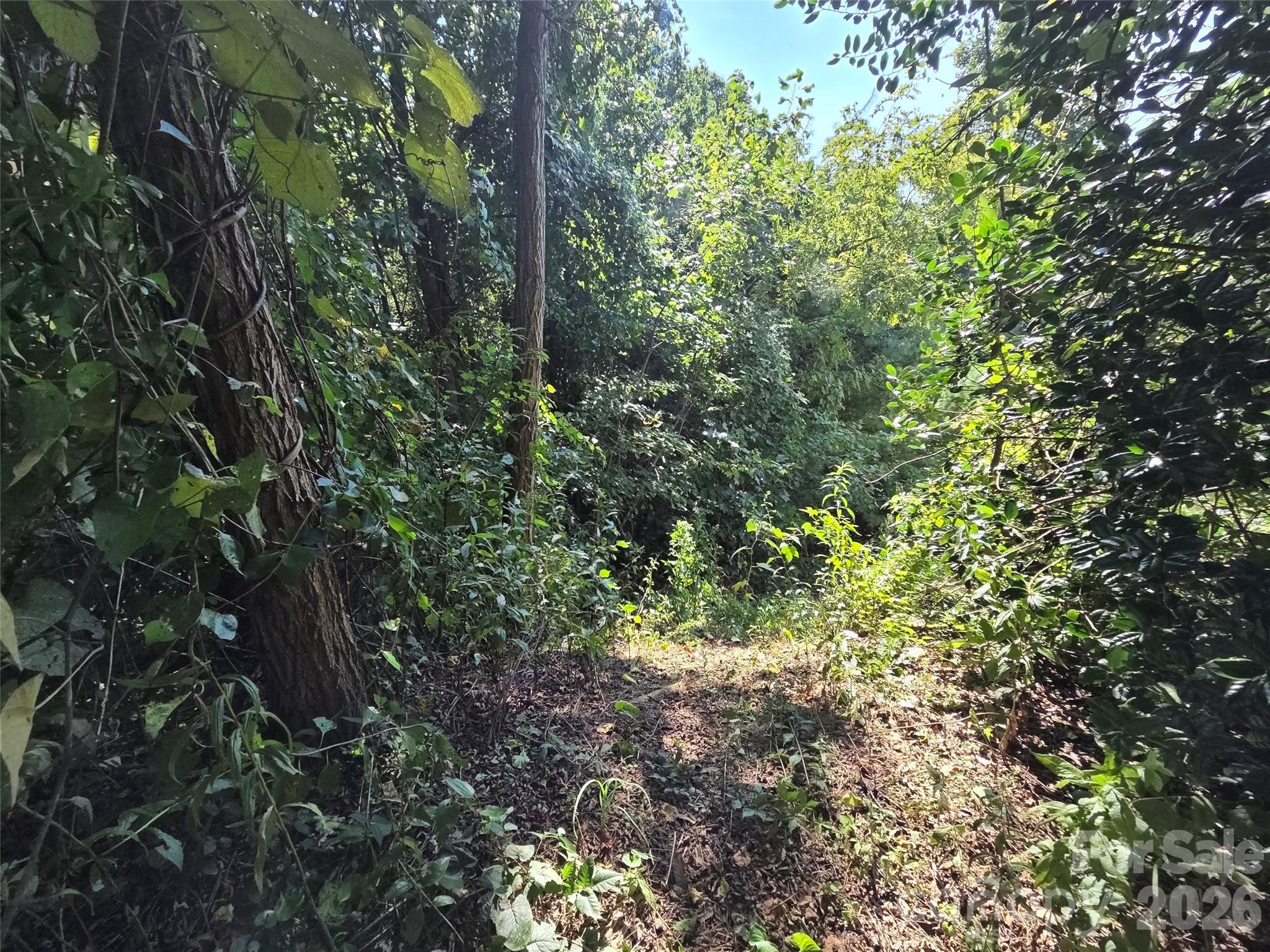59 Summit Hill Road
