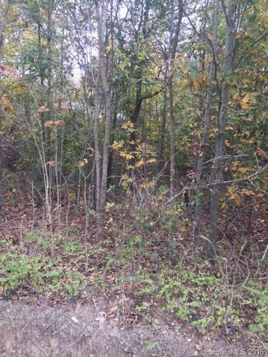 Level wooded 5 acre lot