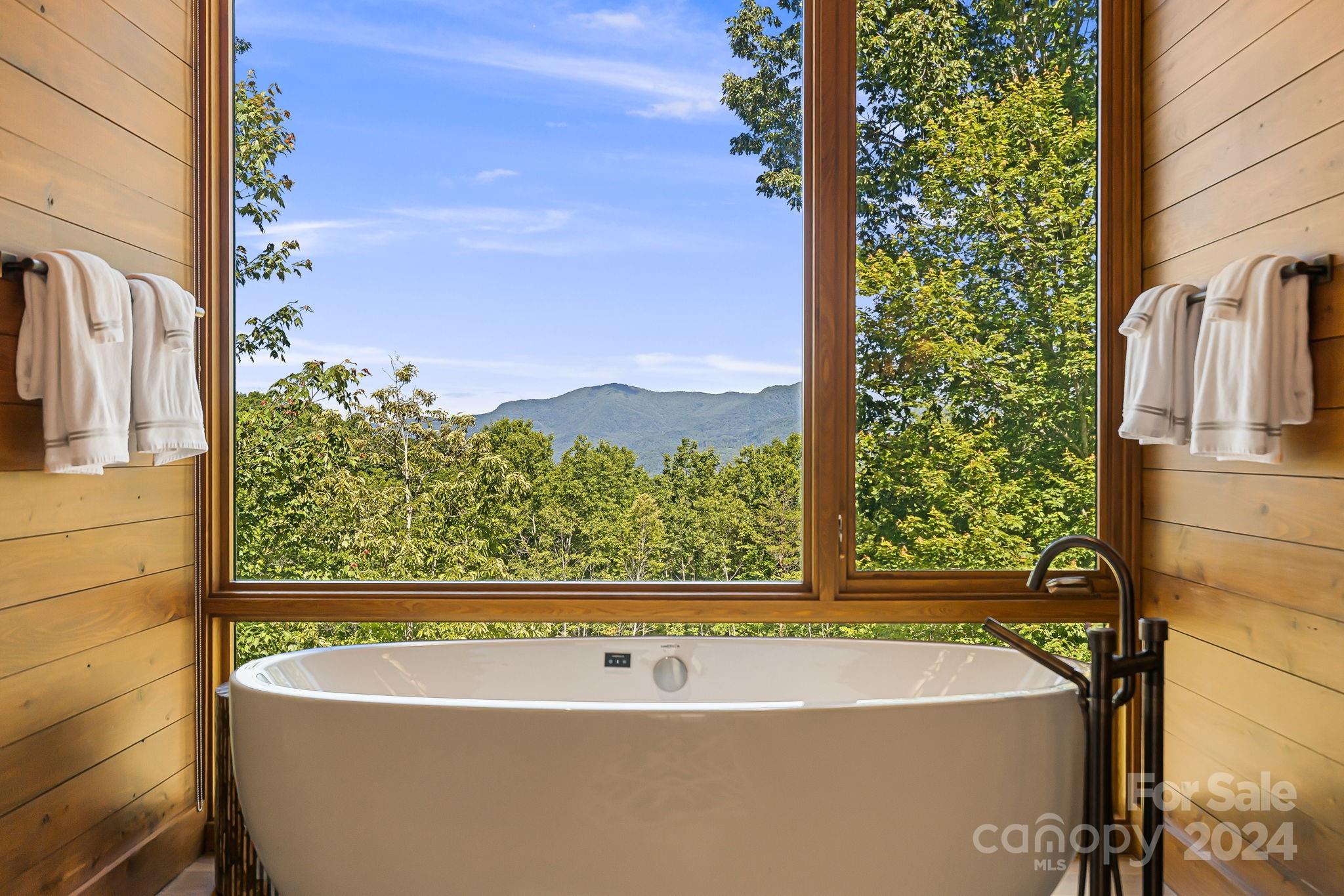 Balsam Mountain Preserve - Residential