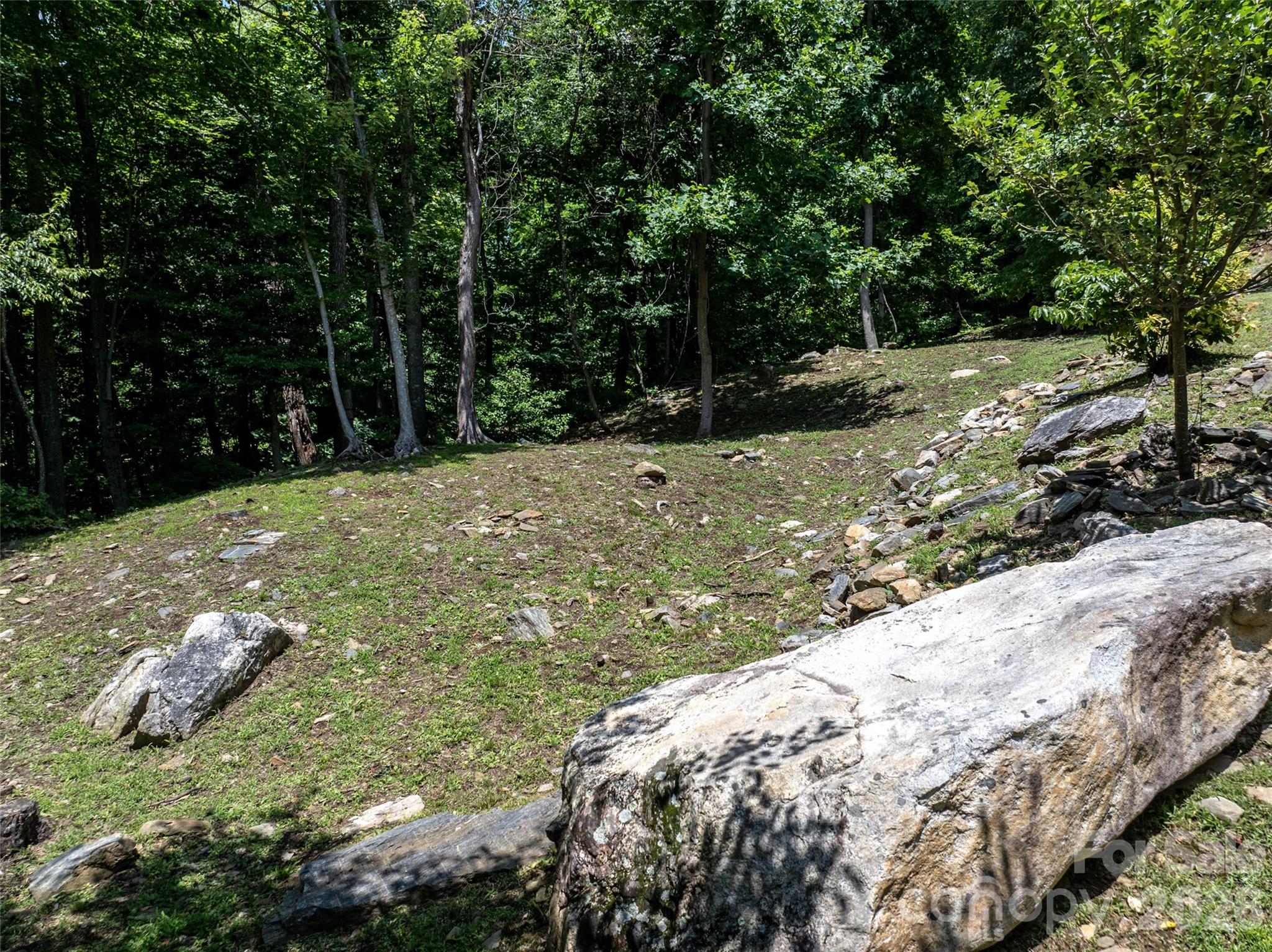 Pinnacle Mountain - Residential