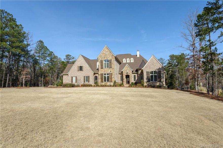 Stunning custom-build home in prestigious Trinity Ridge. 4BR/4.5BA on 1.22 acres. Stone & brick exterior. Hardwood floors on main. Gourmet kitchen. Marble countertops. Upgraded lighting. Master suite on main. Family room has coffered ceiling, beautiful built-ins, cozy fireplace and a wall of windows that open onto patio and pool area. The perfect home for family and entertaining! Exceptional Fort Mill Schools!