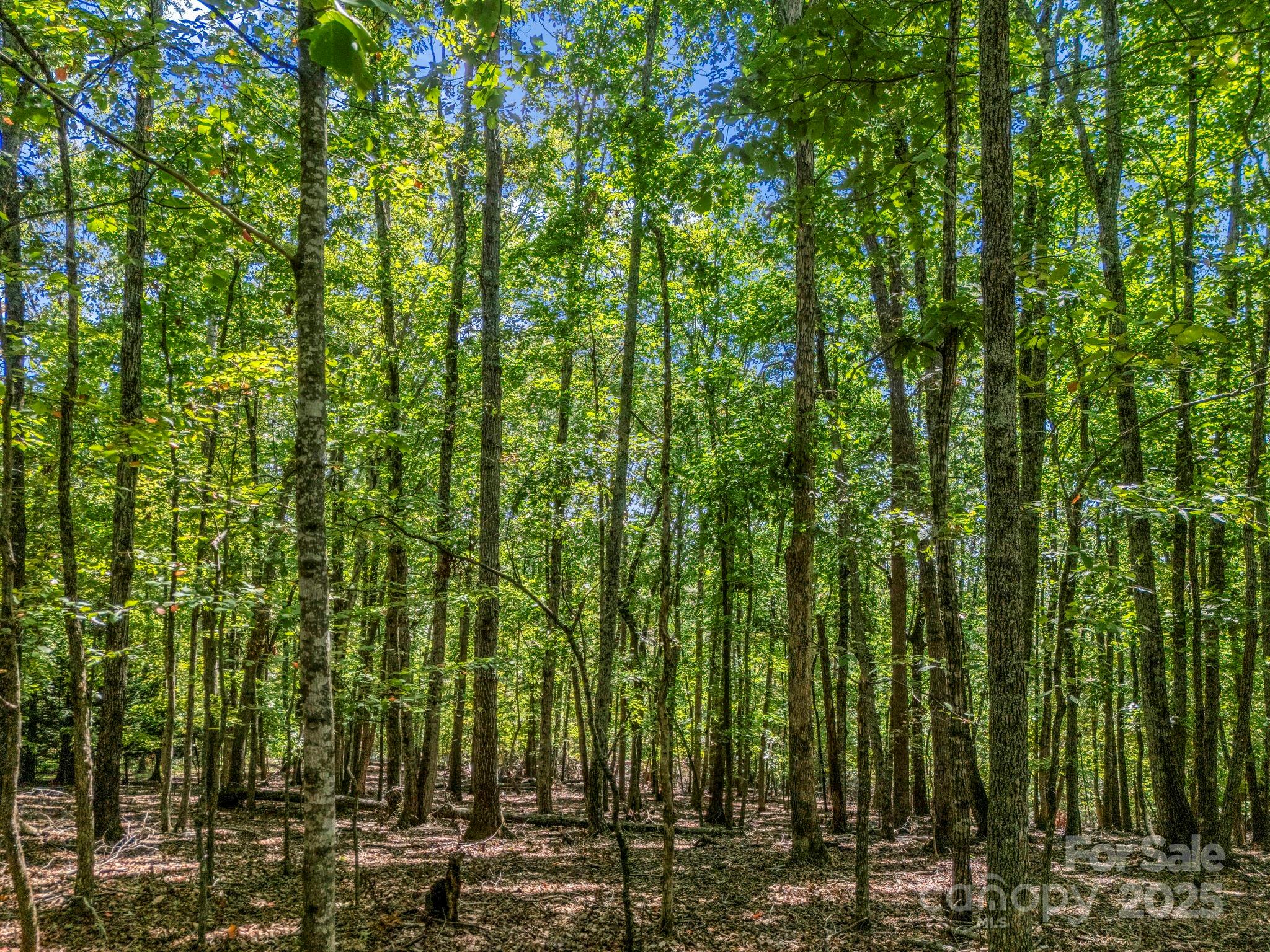 Lot 171 Mountain Laurel Drive 171