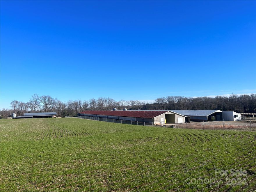 Income producing Farm!  Your opportunity to own and operate a working farm in Hamptonville NC.  Begin your career in agriculture w/ this organic, pasture-raised poultry farm. Two 40x400 poultry barns on the property w/ current contract & no upgrades required per Cal-Maine. Adjacent to these poultry barns is an 80x40 livestock/hay barn with full working feed bin, scales, headgate, and plenty of room for hay.  This building also holds potential for a captivating barndo conversion. Pasture area is fenced for both Outdoor poultry access and cattle operation w/ creek along rear of property.  Septic tank & well  on property from former singlewide homesite.
Whether you're a seasoned farmer or a newcomer, our organic, cage-free poultry farm beckons as a haven where values and agriculture intertwine.
