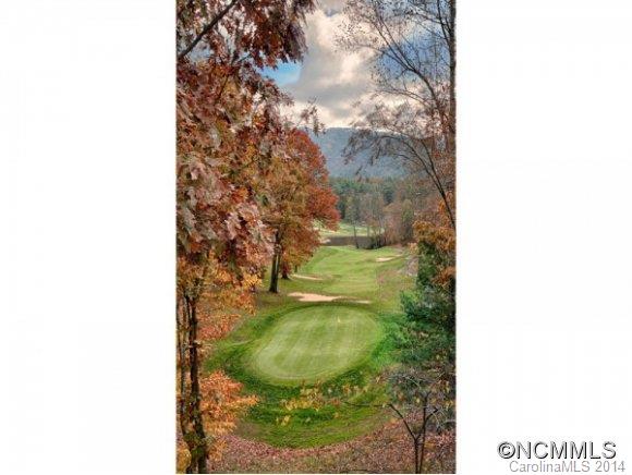 Reems Creek Golf Community - Residential