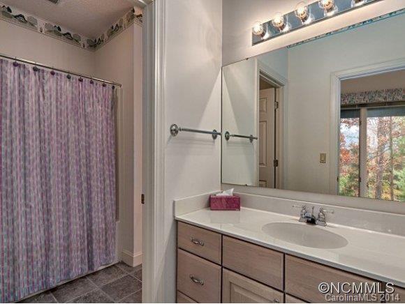 Reems Creek Golf Community - Residential