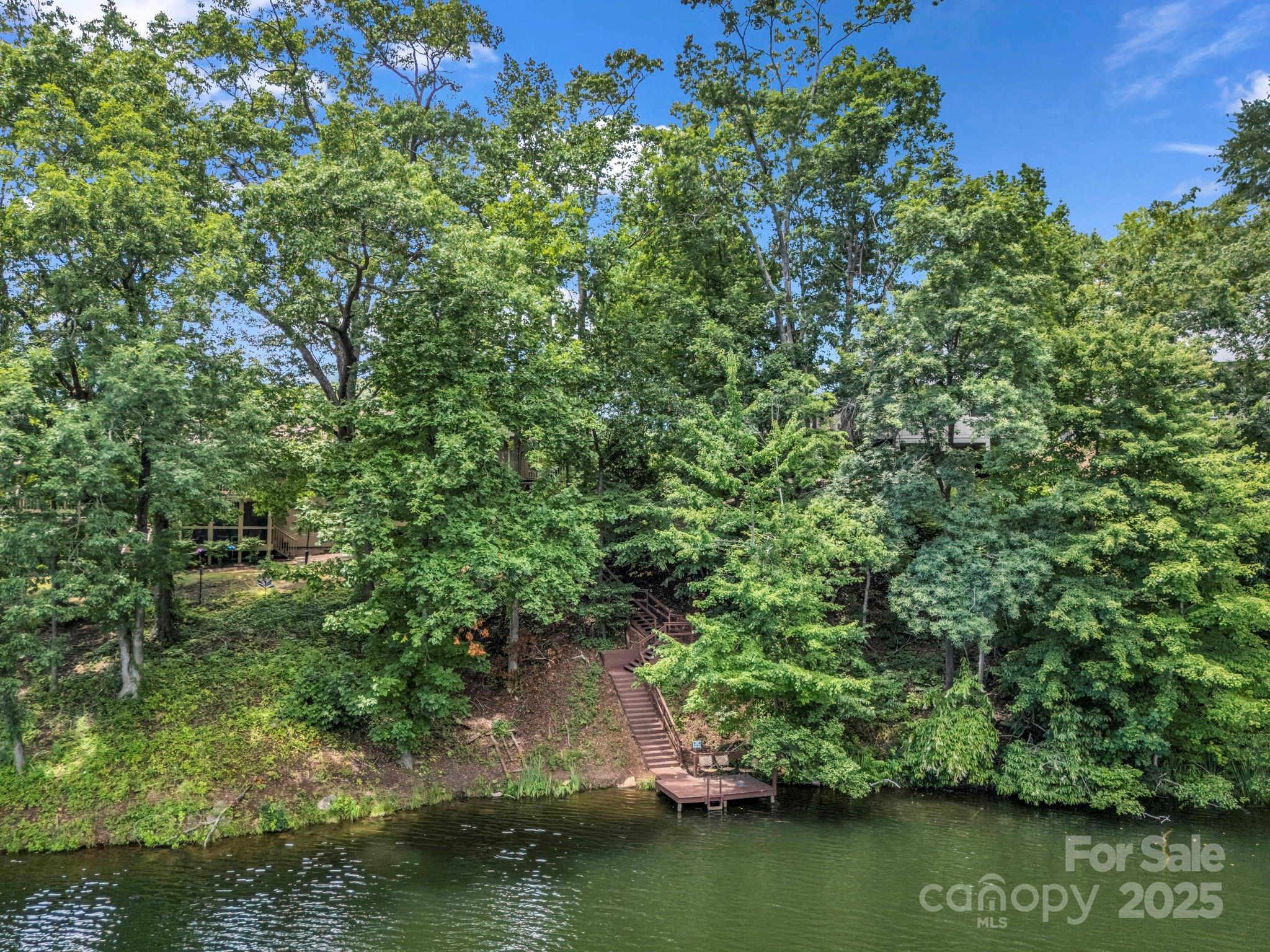Rumbling Bald on Lake Lure - Residential