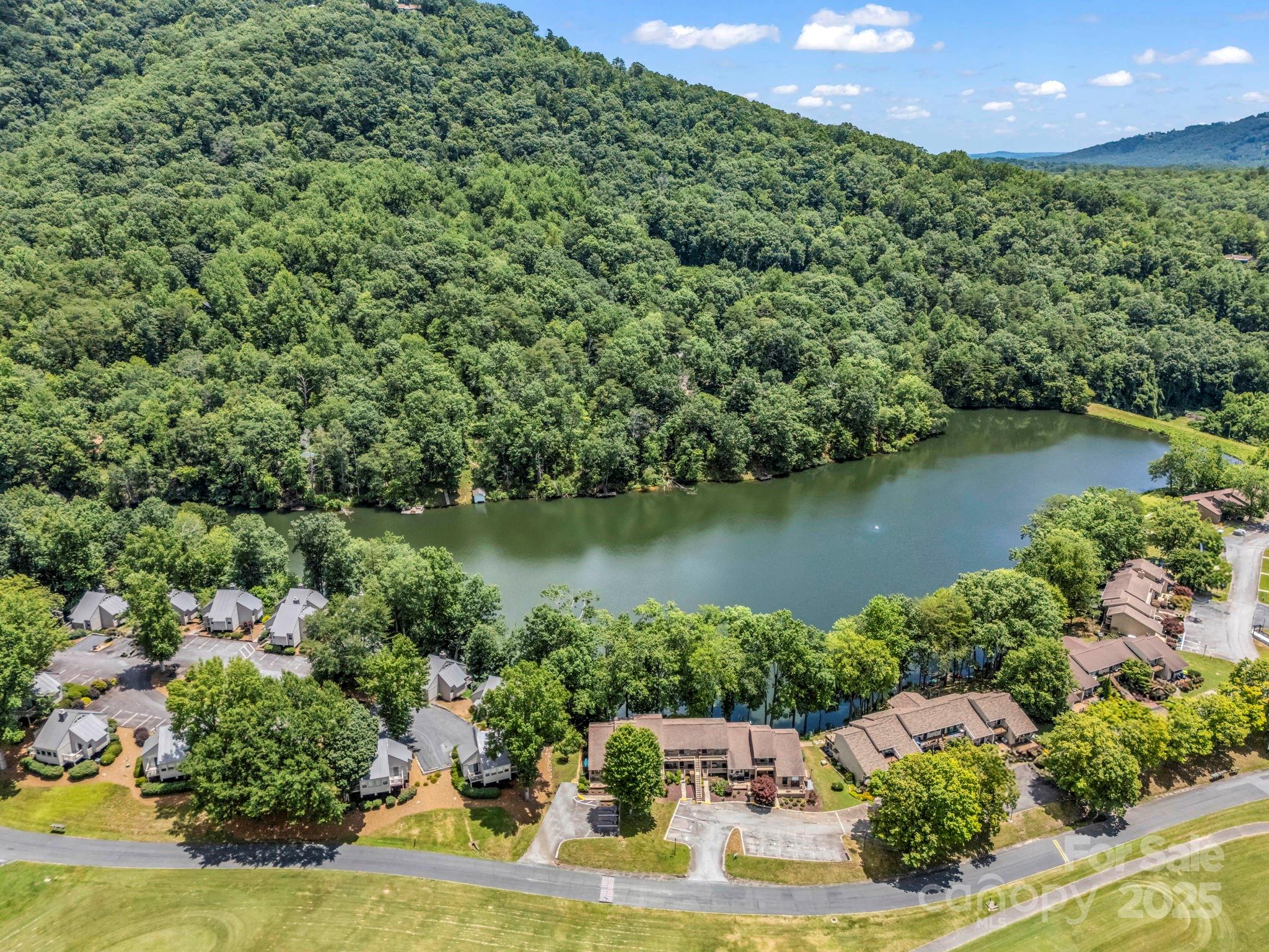 Rumbling Bald on Lake Lure - Residential