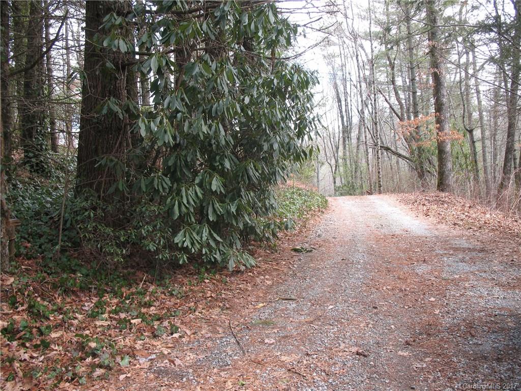 Red Fox - Residential