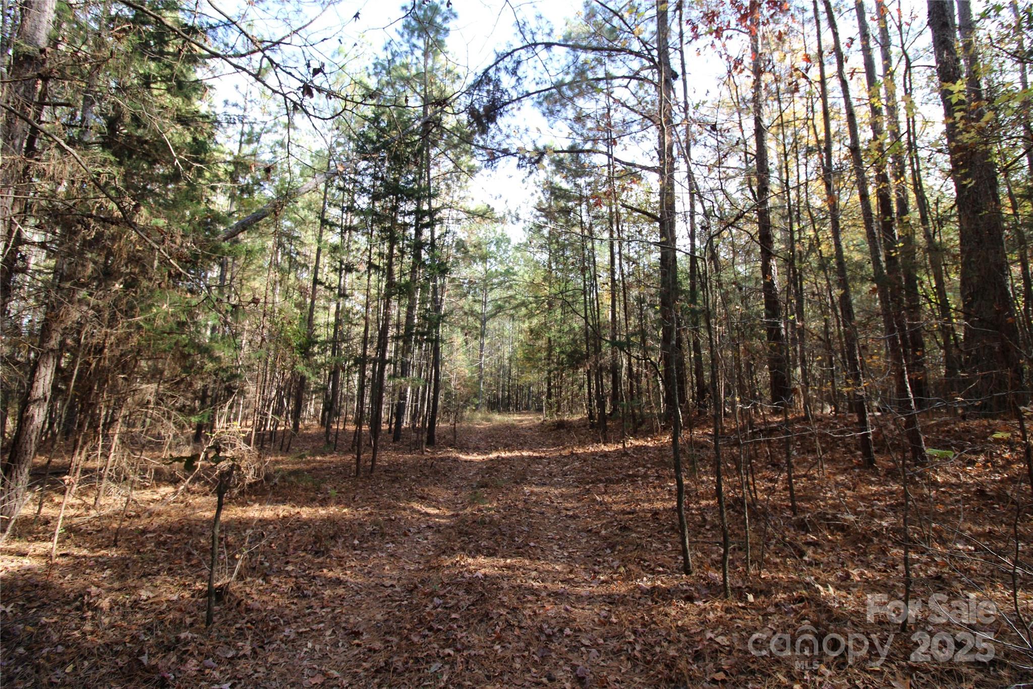 6+/-AC Bookout Road